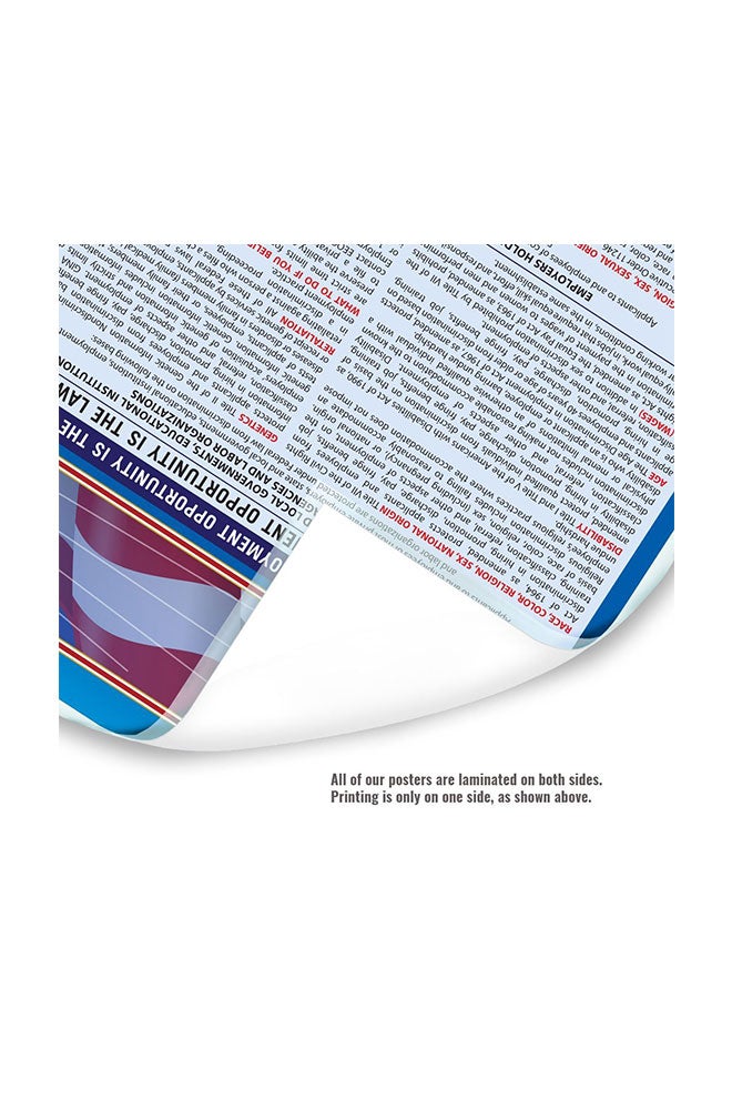 Labor Law Center 2019 Maryland Labor Law All in One Poster Blue - Image 2