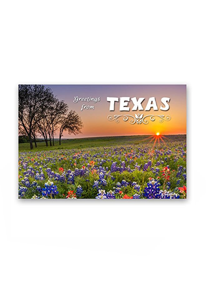 بوست كارد فير حزمة من 20 بطاقة بريدية مزينة بعبارة "Greetings From Texas"  - Image 1