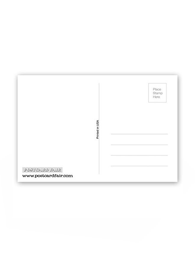 بوست كارد فير بطاقات بريدية مطبوع عليها عبارة "Greetings From Florida" من 20 قطعة - Image 2