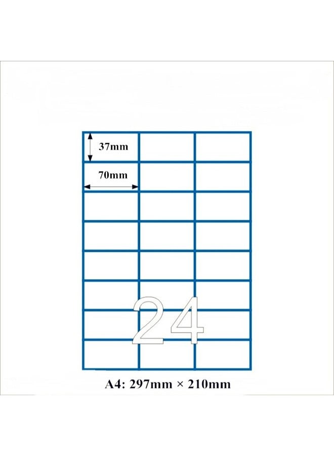 فولكس روز ملصقات تعريف المنتجات متعدد الألوان - Image 2