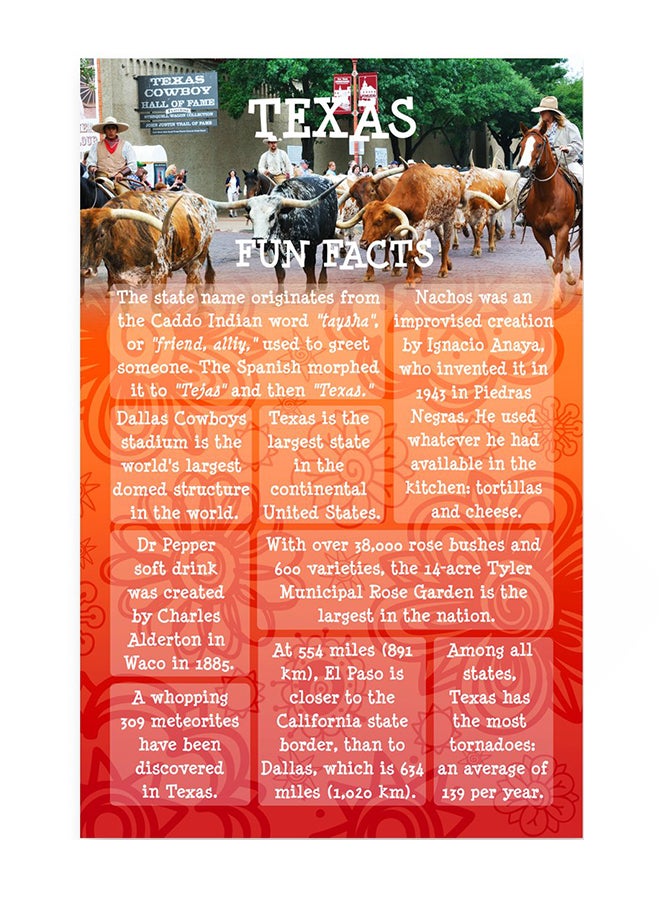 Postcard Fair Set Of 20 Texas Fun Facts Postcard  - Image 1