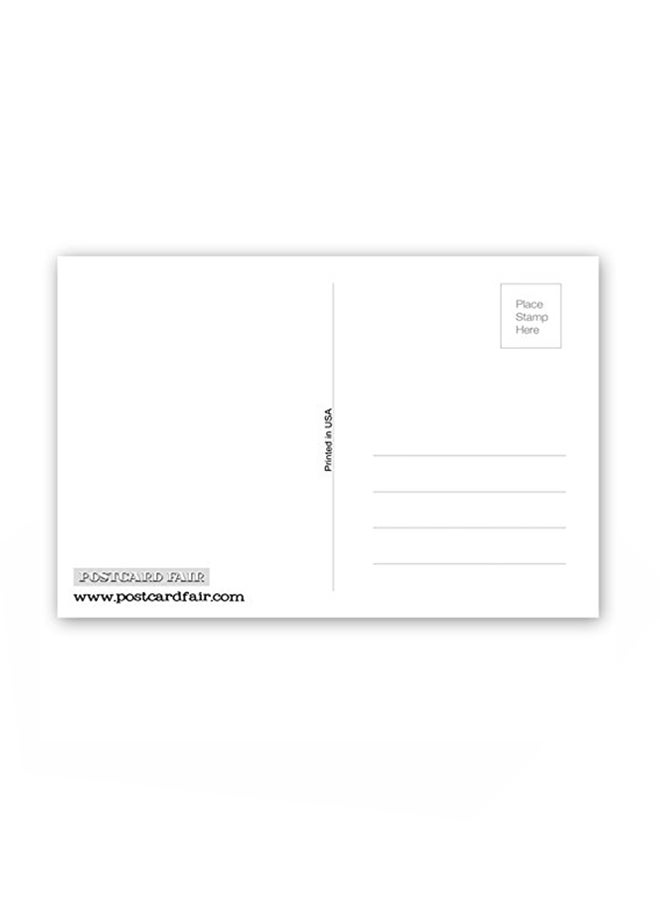 Postcard Fair Set Of 20 Texas Fun Facts Postcard  - Image 2