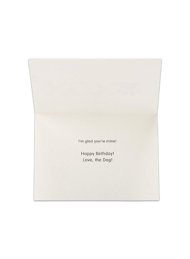 American Greetings Xox Birthday Card - Image 2