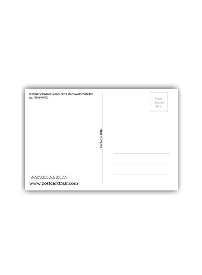 بوست كارد فير بطاقة بريدية كلاسيكية مطبوع عليها عبارة "Greetings From Florida" - Image 2