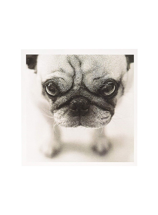 3Dروز طقم بطاقات تهنئة لصورة كلب نوع بغ مكون من 12 قطعة - Image 1