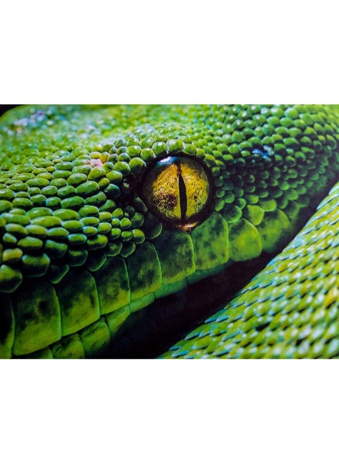 Finestra Art Double Sided Sheet  - Image 2