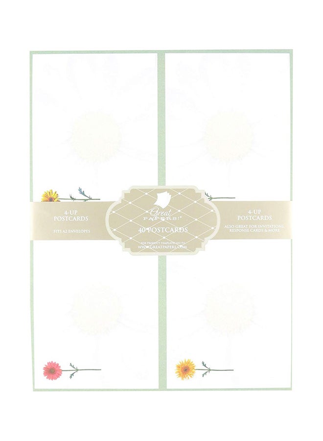 Great Papers! 40-Piece Daisies 4-Up Postcard - Image 1