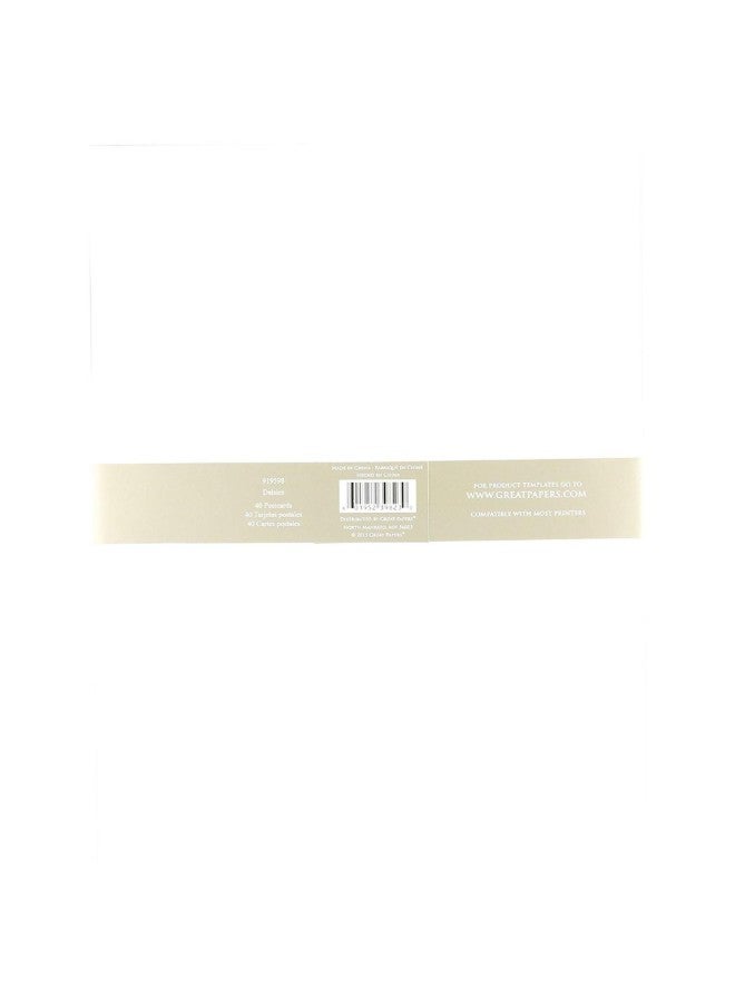 Great Papers! 40-Piece Daisies 4-Up Postcard - Image 2