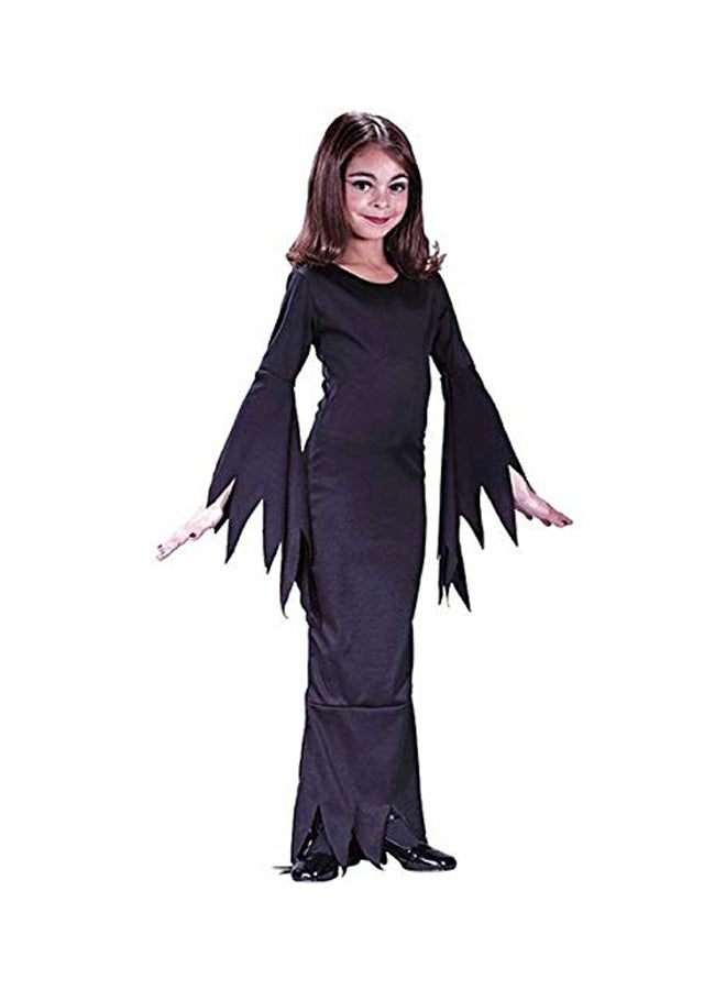 Fun World Morticia Costume 