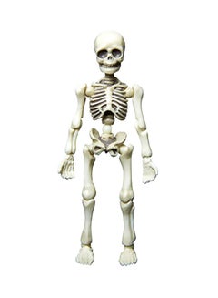 Post Skeleton Action Figure SG_B00KWZ73SU_US - v1553014773/N22067403A_1