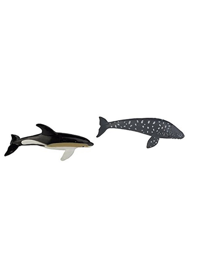 Safari Ltd. - 11-Piece Dolphins And Whales Figure 694704 - Image 1
