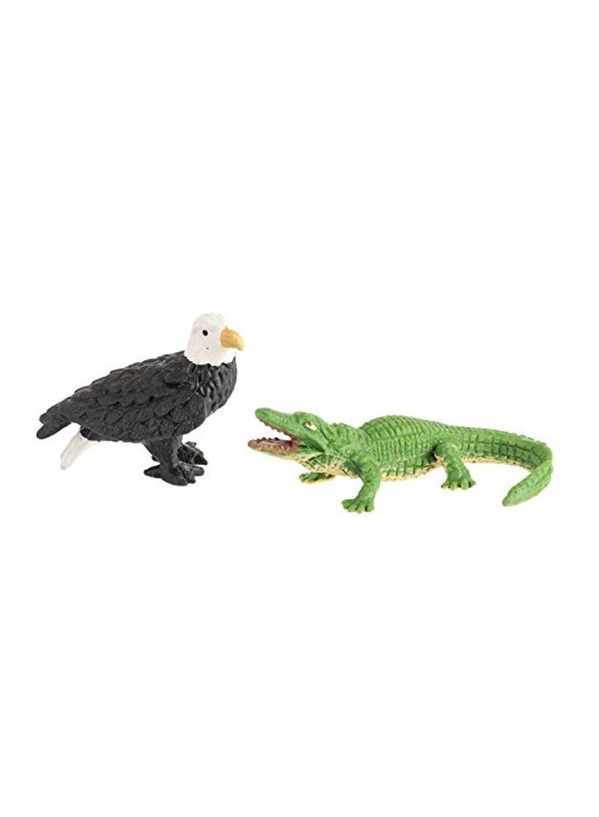 Safari Wild America Fun Pack 349922  - Image 3