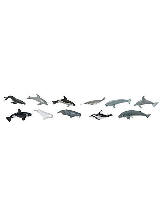 Safari Ltd. - 11-Piece Dolphins And Whales Figure 694704 - Image 1