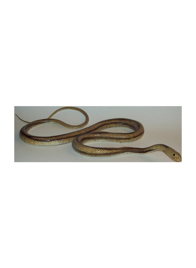 Rubber Rat Snake Animal Figure 48inch - v1553015684/N22069947A_2