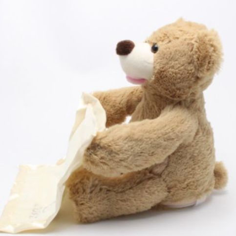 دب محشو من بيك أ بو 47.5سم - Image 2
