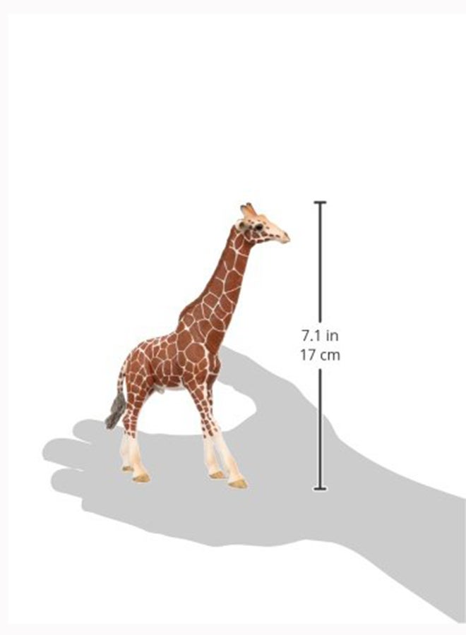 شليتش مجسم لعبة بشكل ذكر الزرافة - Image 2