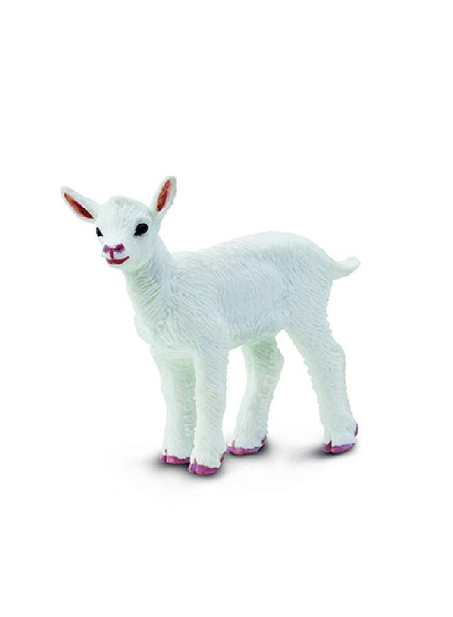 سفاري لعبة عنزة صغير SF