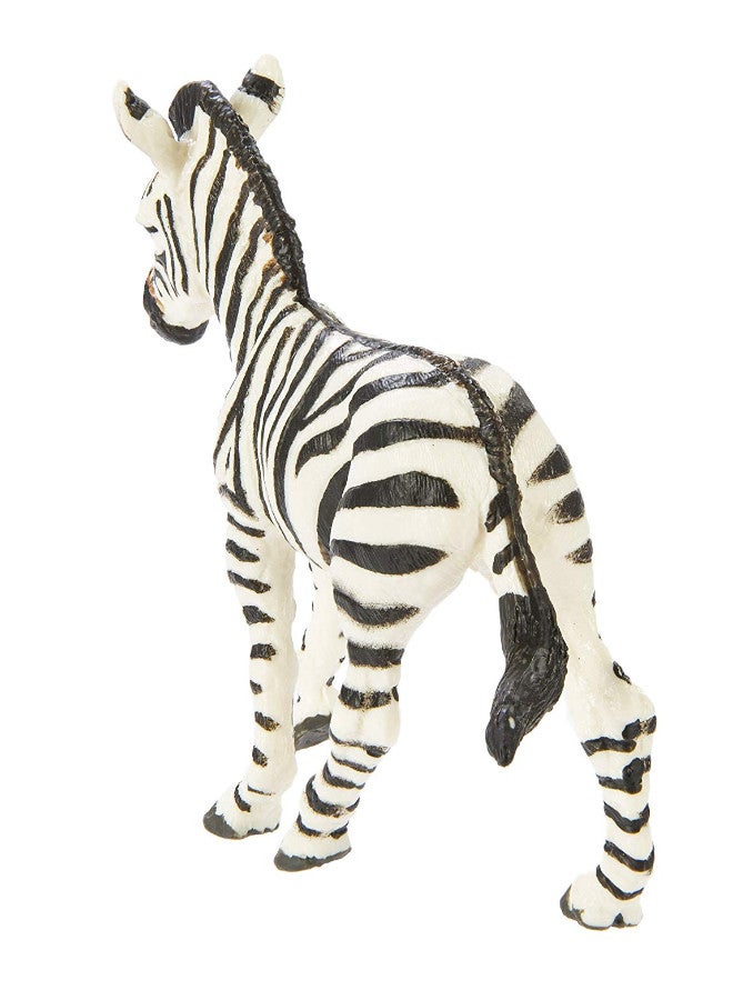 Safari Ltd. - Wildlife Zebra Foal - Image 1
