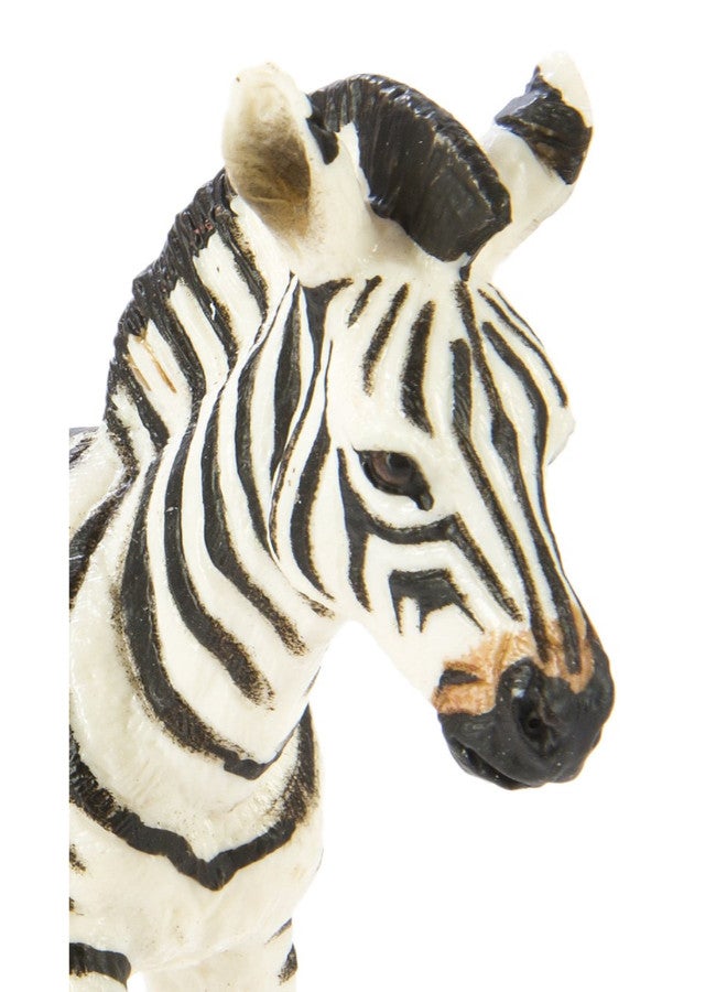 Safari Ltd. - Wildlife Zebra Foal - Image 1