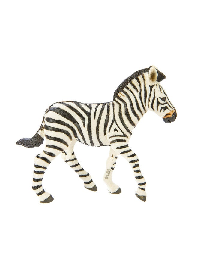 Safari Ltd. - Wildlife Zebra Foal - Image 1
