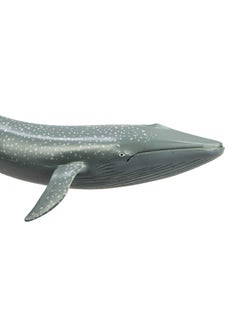 Sea Life Blue Whale Animal Figure - v1553183426/N22002403A_4