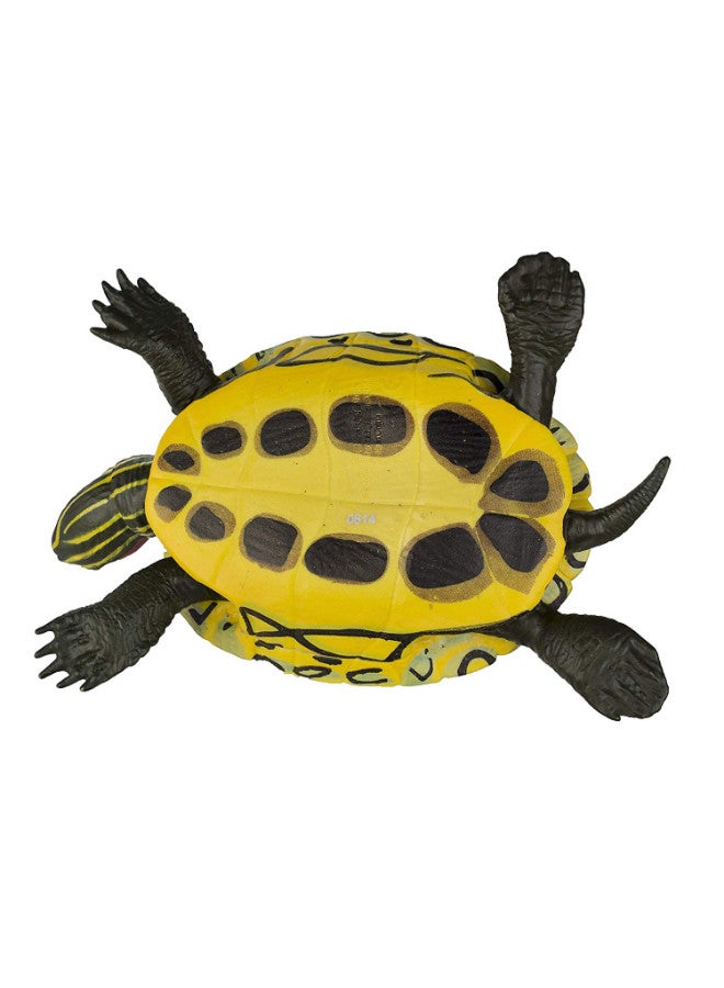 Red Eared Slider Turtle Animal Figure - v1553184826/N22002869A_3