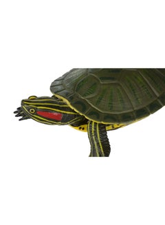 Red Eared Slider Turtle Animal Figure - v1553184826/N22002869A_4