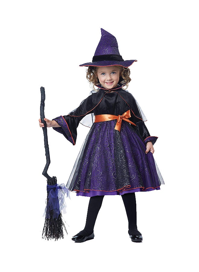 كاليفورنيا كوستومز - زي من فيلم 'Hocus Pocus' - Image 1