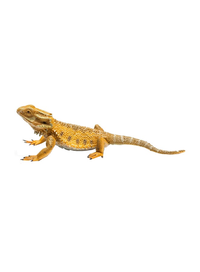 CollectA Bearded Dragon Lizard Toy  - Image 1