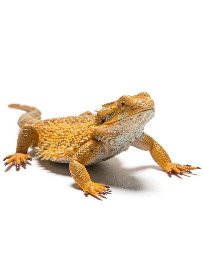 CollectA Bearded Dragon Lizard Toy  - Image 3