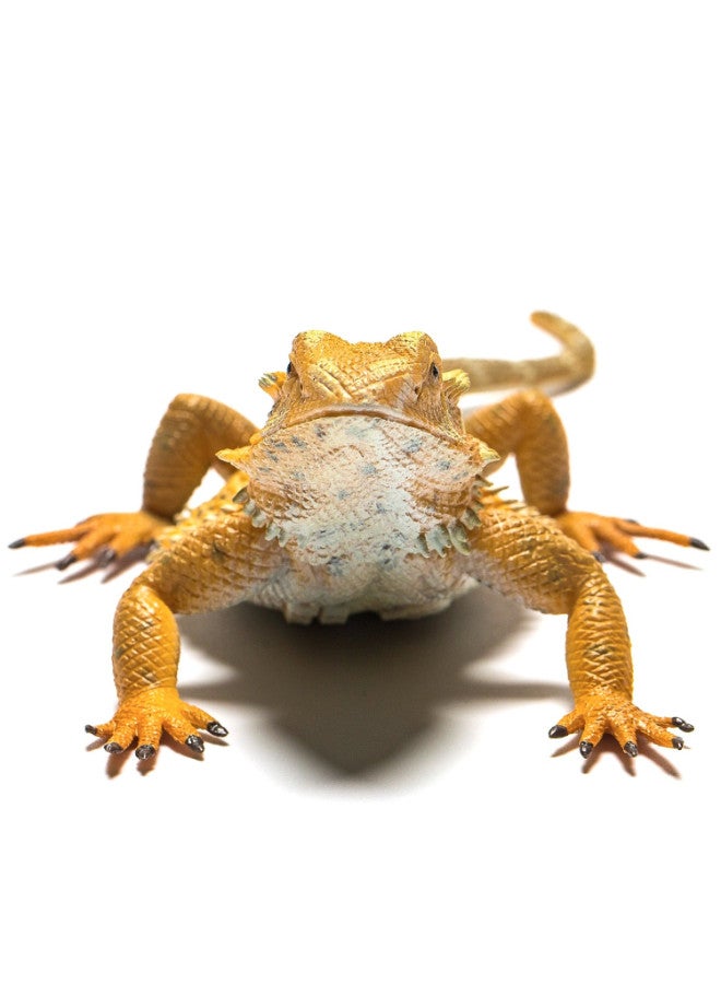 CollectA Bearded Dragon Lizard Toy  - Image 4