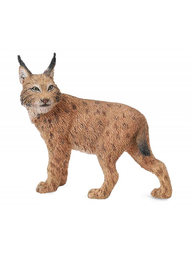 CollectA Wildlife Lynx Animal Figure 