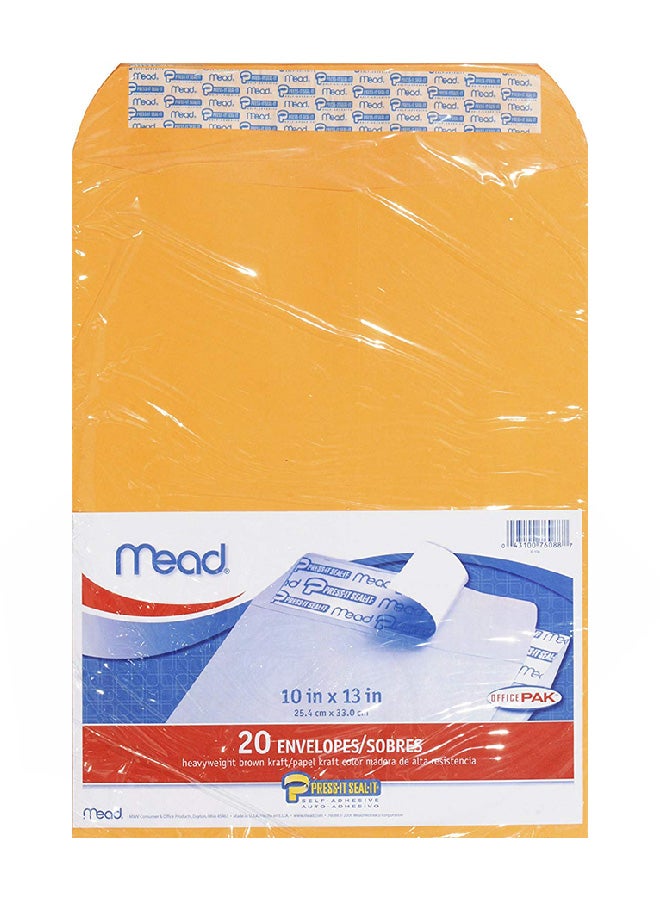 Mead - 20-Piece Press-It Seal-It Envelope Brown - Image 1