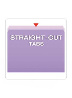 Pendaflex Pack Of 100 File Folder Blue  - Image 2