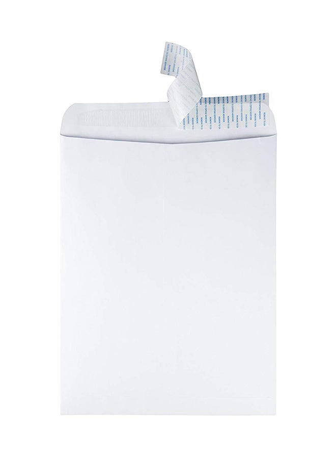 كوالتي بارك مجموعة من 100 مغلف كاتالوج أبيض - Image 2