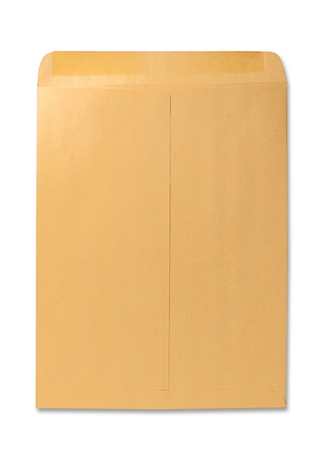 Quality Park Pack Of 100 Catalog Envelope Brown