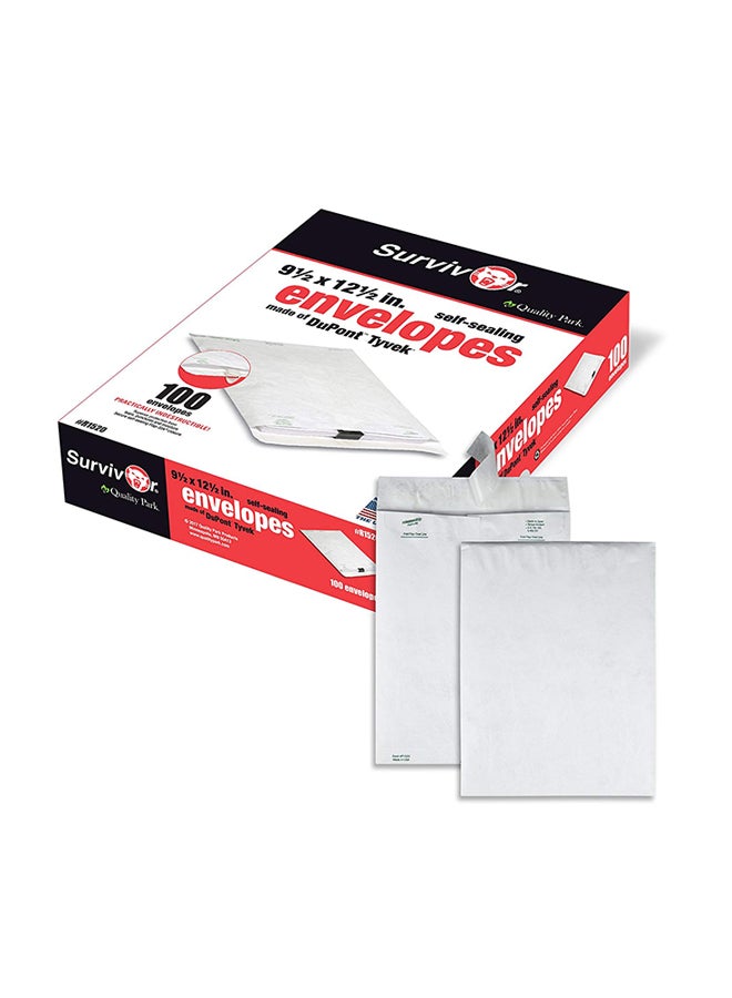 كوالتي بارك مجموعة من 100 مغلف تيفك للبريد أبيض - Image 1