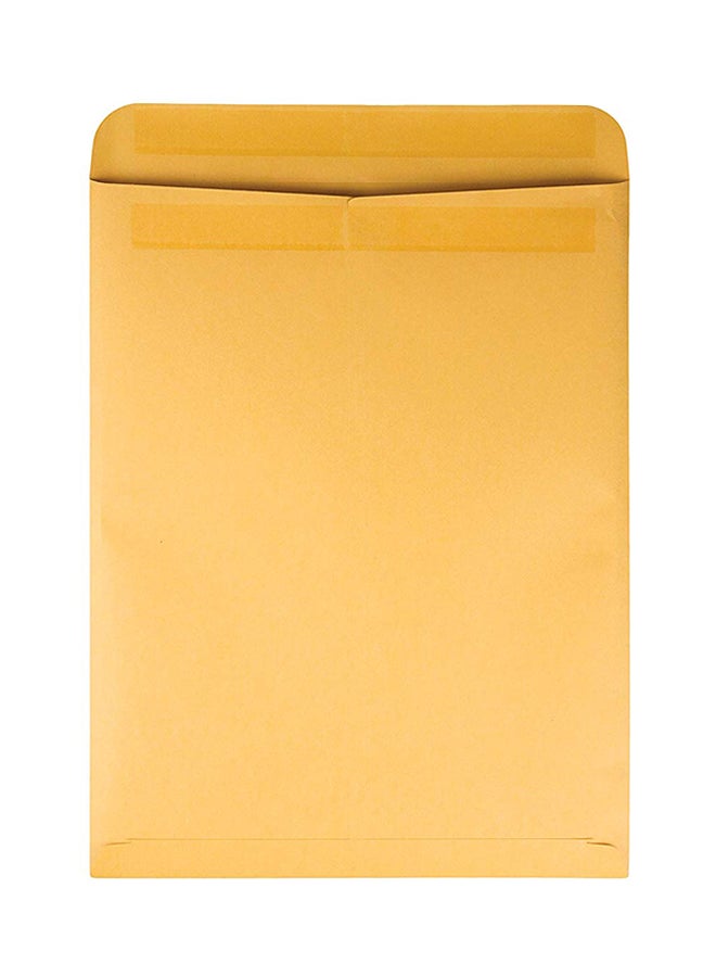 كوالتي بارك مجموعة من 100 مغلف كاتالوج بني - Image 2