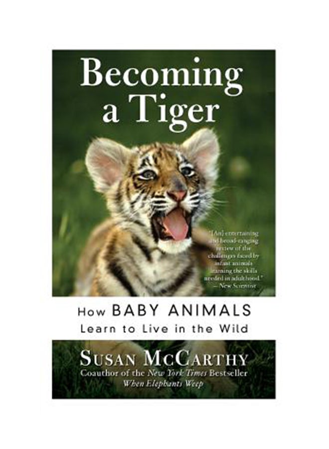 Becoming A Tiger: How Baby Animals Learn To Live In The Wild Paperback English by Susan Mccarthy 