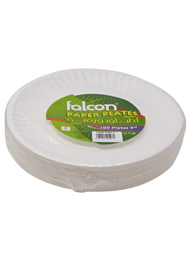 Falcon 100-Piece Disposable Plate Set - Image 3