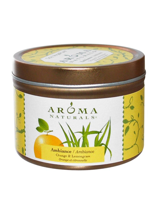 Aroma Naturals - Orange And Lemongrass Aromatic Oil Clear - Image 1