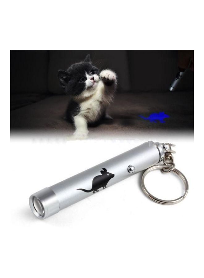 Generic - LED Laser Pointer Pen Key Chain Silver - Image 1