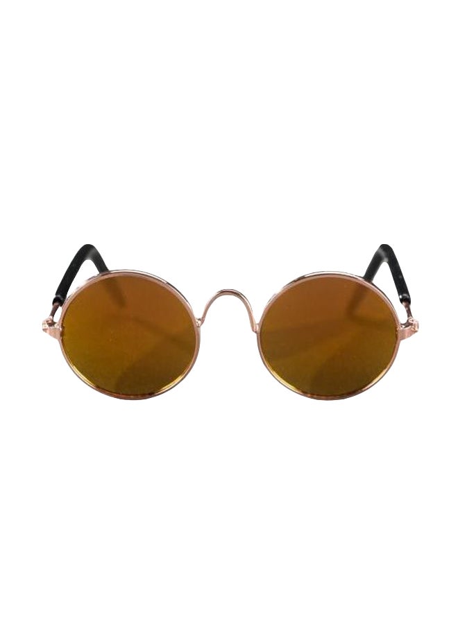 Evening Sunglasses Brown/Gold/Black - Image 1