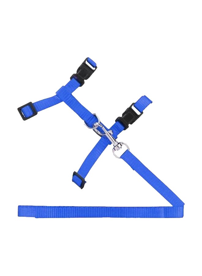 Adjustable Harness And Leash Blue/Black