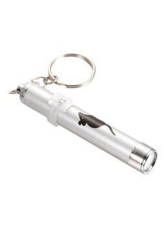 Generic LED Laser Pointer Pen Key Chain Silver  - Image 1