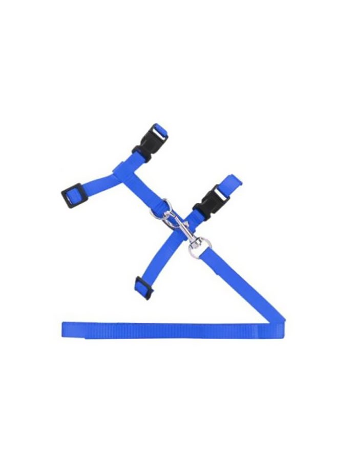Adjustable Harness And Leash Blue/Black