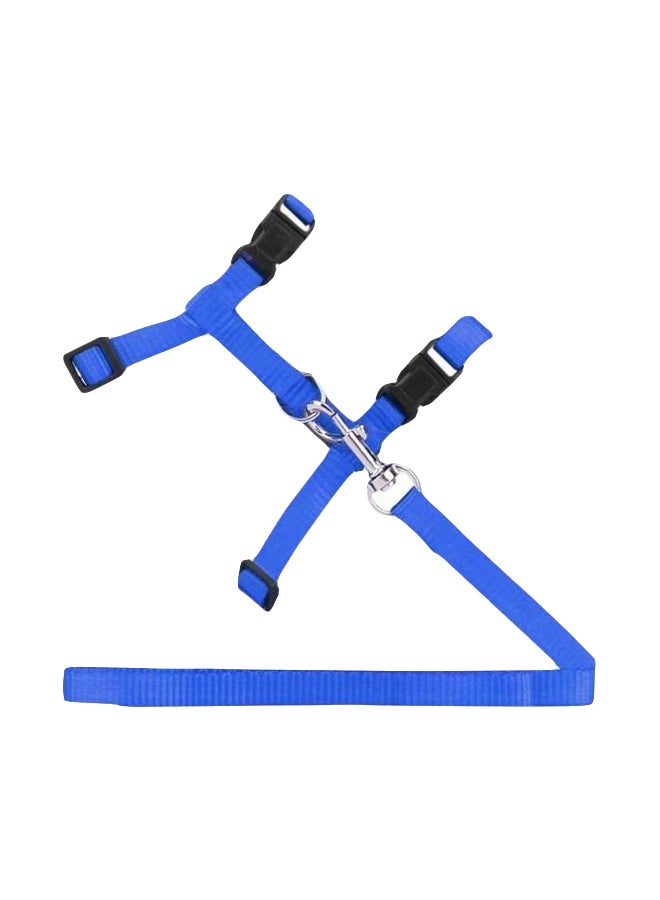 حزام وطوق قابلان للتعديل أسود/أزرق