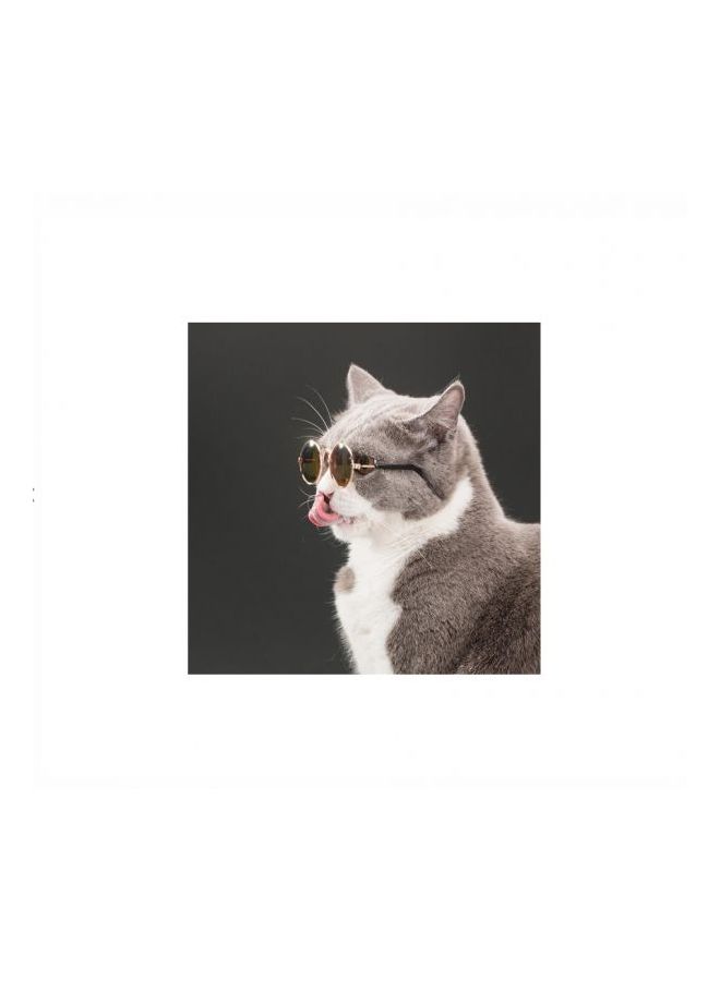 Evening Sunglasses Brown/Gold/Black - Image 3