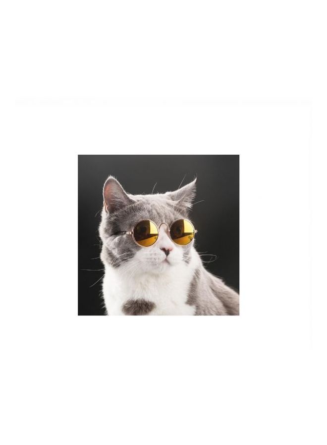 Evening Sunglasses Brown/Gold/Black - Image 2