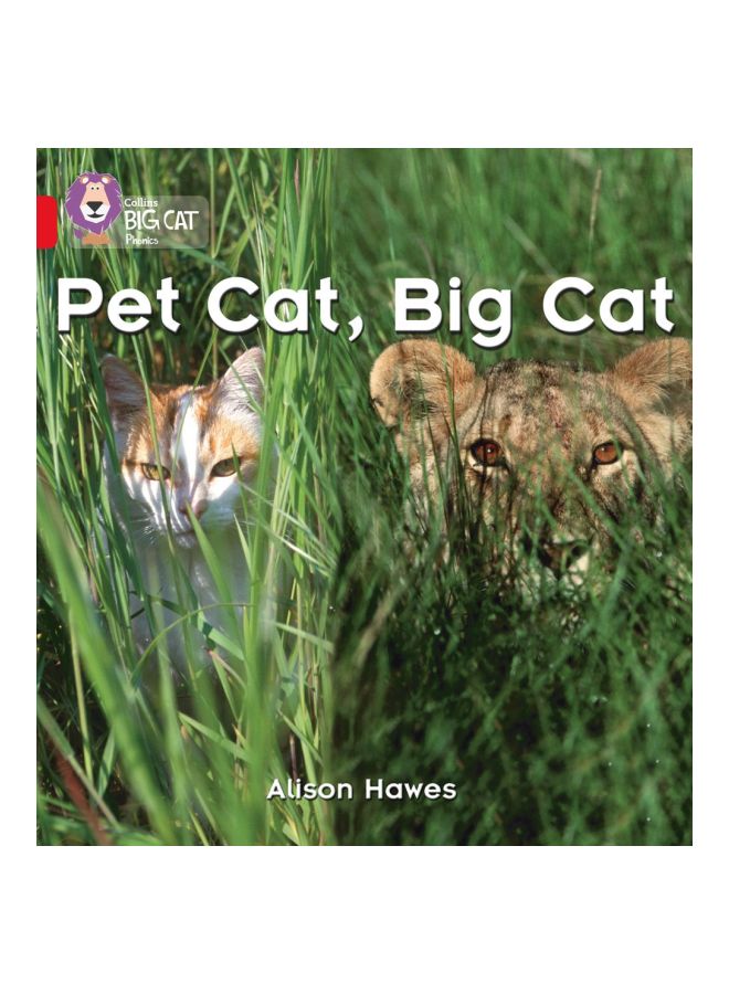 Pet Cat, Big Cat Paperback English by Alison Hawes - 38961 